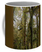 Moss-Covered Trees in a Dense Forest Coffee Mug