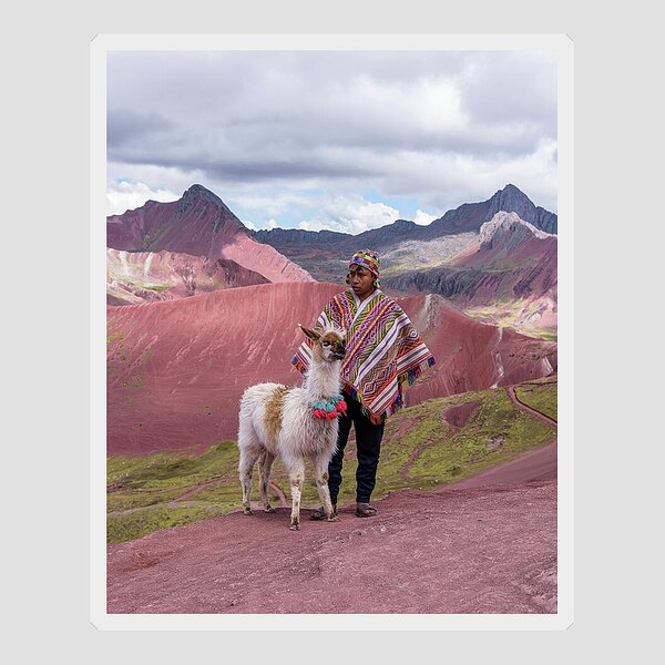 Peruvian Scene With Red Valley And Llama Sticker