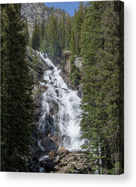 Waterfall Amidst Forest Landscape Acrylic Print