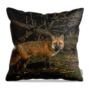 Fox In Sunlit Forest Clearing Throw Pillow
