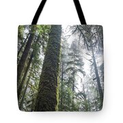 Majestic Forest Canopy In Olympic National Park Tote Bag