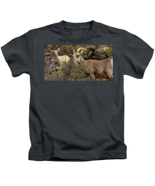 Bighorn Sheep in Zion National Park Kids T-Shirt by Brandon Wichmann