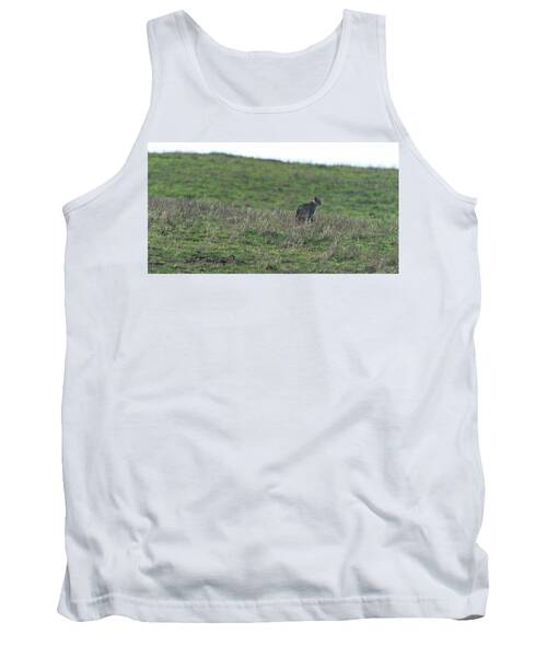 Bobcat in Point Reyes Tank Top by Brandon Wichmann