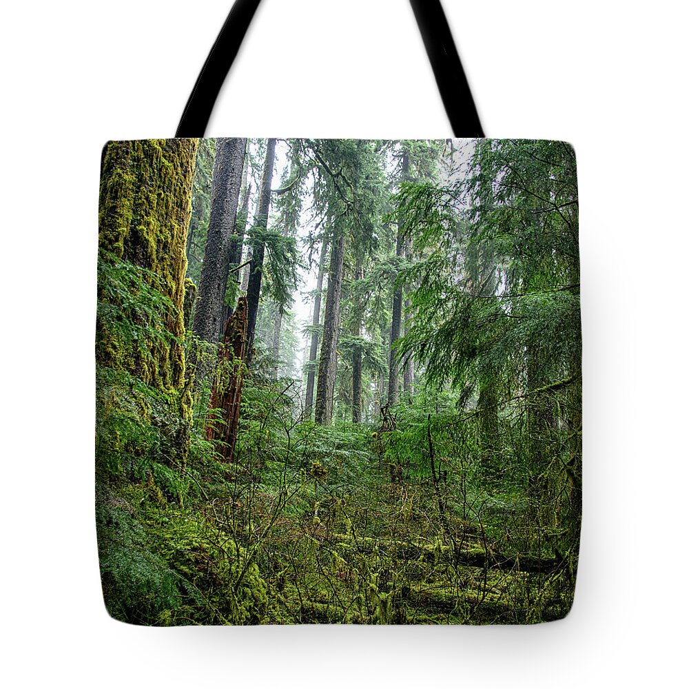Misty Forest Silhouettes In Olympic National Park Tote Bag