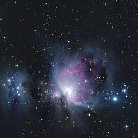 Cosmic Dance Among the Stars