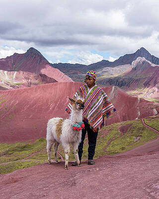 Nature Wall Art featuring the photograph Peruvian Scene With Red Valley And Llama by Brandon Wichmann
