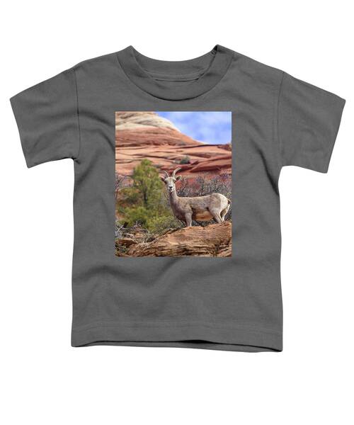 Big Horn Sheep In Zion National Park Toddler T-Shirt