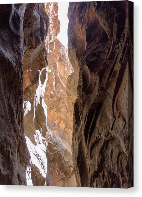 Sunlit Canyon Walls in The Narrows Canvas Art Print by Brandon Wichmann