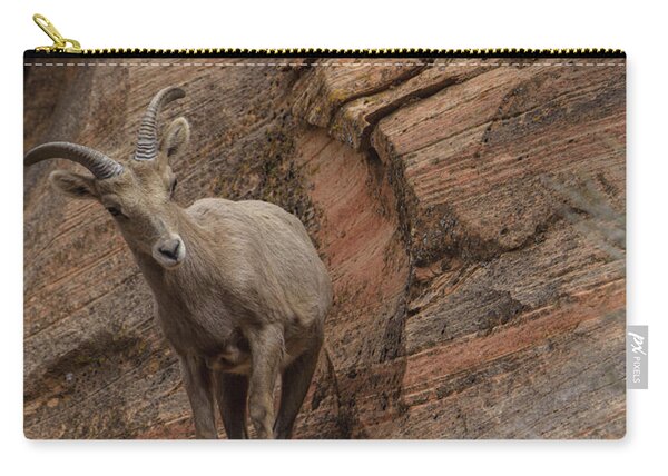 Bighorn Sheep On Rocky Terrain Zip Pouch