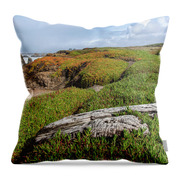 Coastal Landscape with Driftwood Throw Pillow