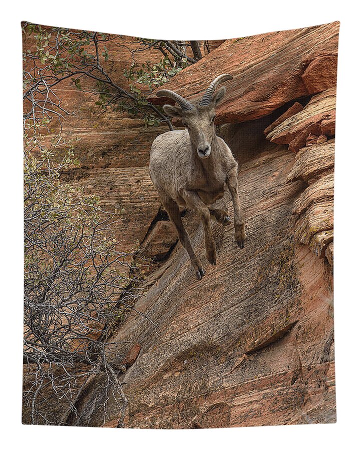 Big Horn Sheep Agile Descent In Zion National Park Tapestry