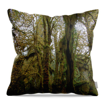 Moss-Covered Trees in a Dense Forest Throw Pillow