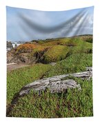 Coastal Landscape with Driftwood Tapestry