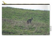 Bobcat in Grassy Field Zip Pouch
