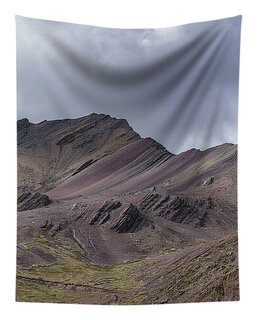 Shop for Dramatic Tapestries
