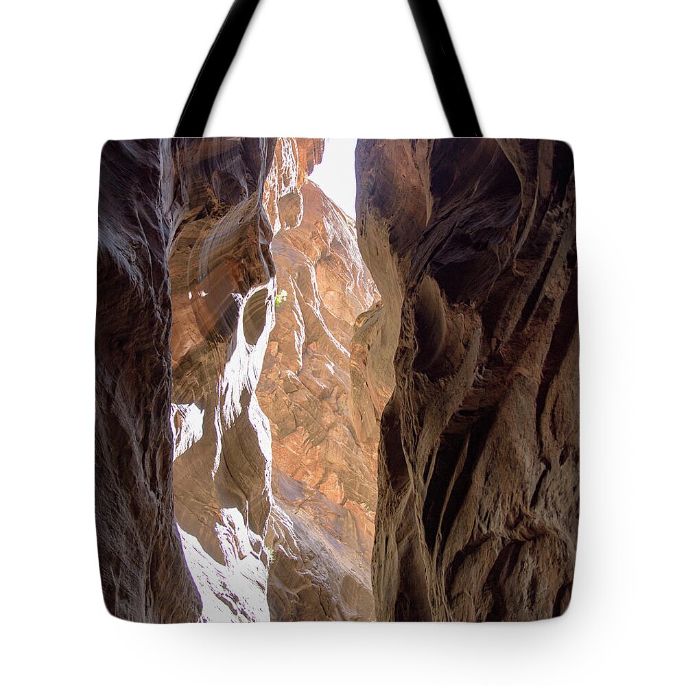 Sunlit Canyon Walls In The Narrows Tote Bag