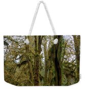 Moss-Covered Trees in a Dense Forest Weekender Tote Bag