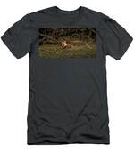 Fox Resting In Sunlit Clearing T-Shirt