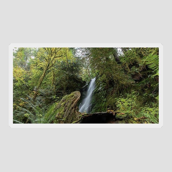 Serene Waterfall in Lush Forest Sticker