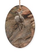 Big Horn Sheep Agile Descent In Zion National Park Ornament