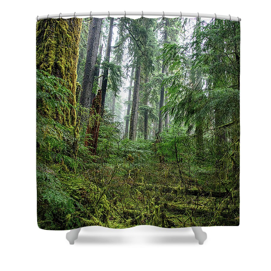 Misty Forest Silhouettes In Olympic National Park Shower Curtain