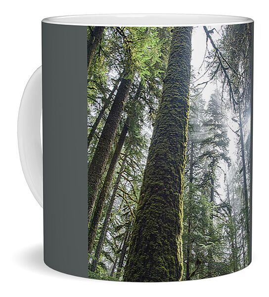 Majestic Forest Canopy In Olympic National Park Coffee Mug