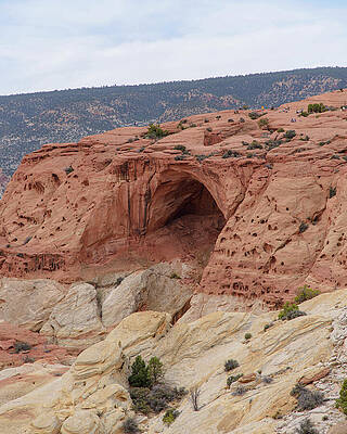 Wilderness Wall Art featuring the photograph Natural Arch In Desert Landscape by Brandon Wichmann