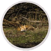 Peaceful Fox In Sunlit Meadow Round Beach Towel