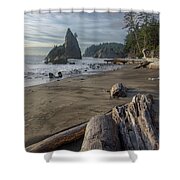 Rugged Coastal Landscape Shower Curtain