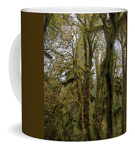 Moss-Covered Trees in a Dense Forest Coffee Mug