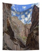 Majestic Canyon Sky View In The Narrows Tapestry