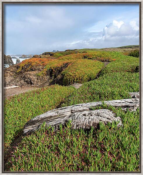 Coastal Landscape with Driftwood Framed Print