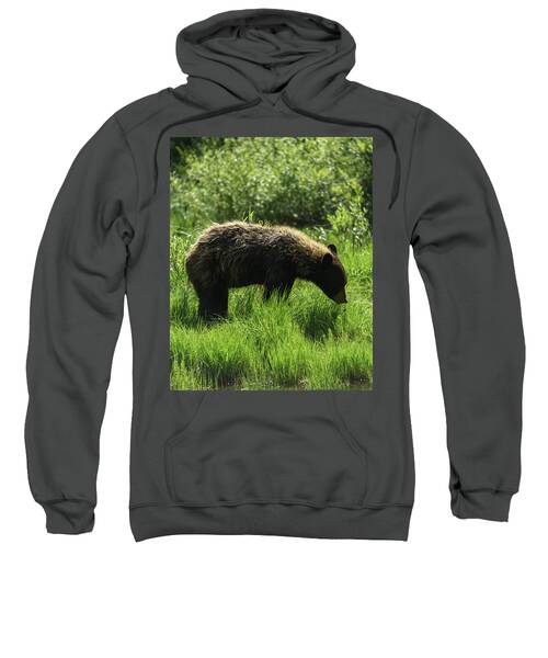 Solitary Bear In Grand Teton National Park Sweatshirt