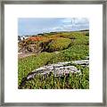 Coastal Landscape with Driftwood Framed Print