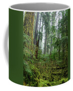 Misty Forest Silhouettes In Olympic National Park Coffee Mug