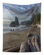 Rugged Coastal Landscape Tapestry