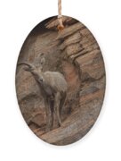 Bighorn Sheep On Rocky Terrain Ornament