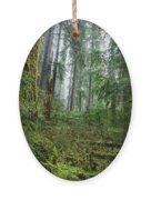 Misty Forest Silhouettes In Olympic National Park Ornament