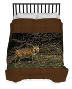 Fox In Sunlit Forest Clearing Duvet Cover