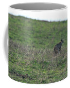Bobcat in Point Reyes Coffee Mug by Brandon Wichmann