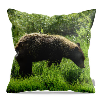 Grand Teton National Park Throw Pillows