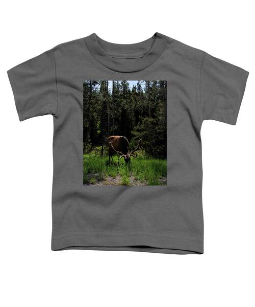 Elk Grazing In A Sunlit Forest In Grand Teton National Park Toddler T-Shirt