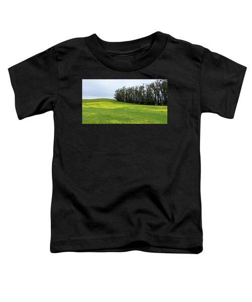 Rolling Hills With Blooming Wildflowers Toddler T-Shirt