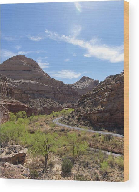 Winding Road Through Desert Canyon Wood Print