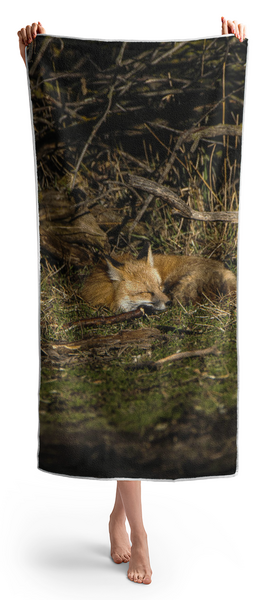 Peaceful Fox in Sunlit Meadow Beach Towel by Brandon Wichmann