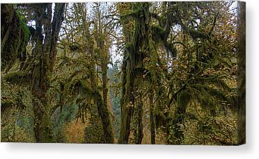 Shop for Tree Canvas Prints