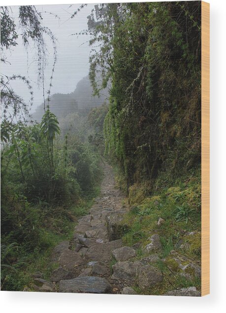 Misty Forest Pathway On The Inca Trail Wood Print