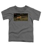 Fox In Sunlit Forest Clearing Toddler T-Shirt