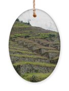 Ancient Terraces Amidst Greenery Ornament