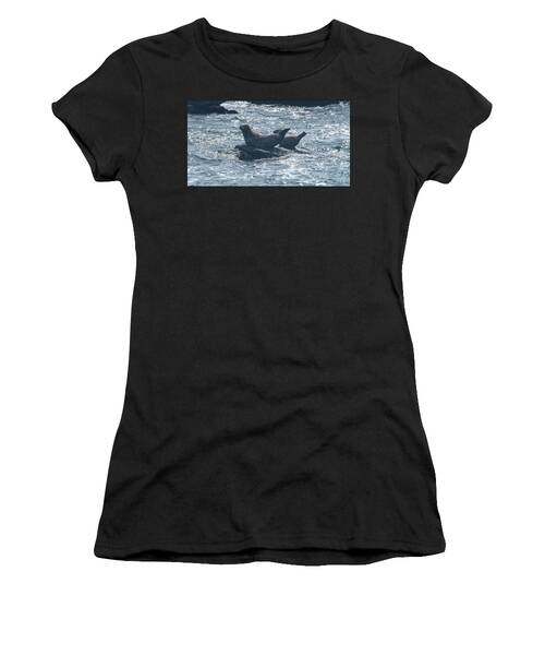 Seals Resting On Rocky Shoreline Women's T-Shirt